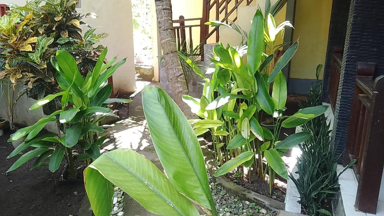 Mangga Homestay Gili Air Exterior foto